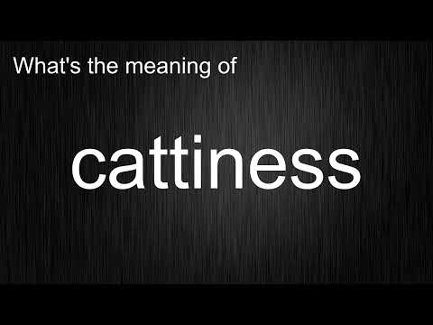 What's the meaning of "cattiness", How to pronounce cattiness?