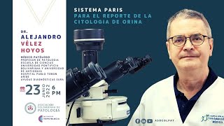 Sistema Paris para el reporte de la Citología de orina