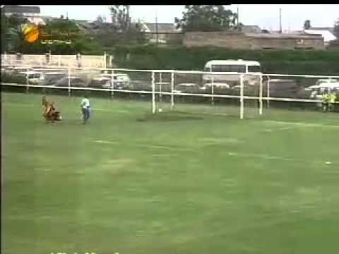 23/05/2007 Mika 3 - 2 Gandzasar goals