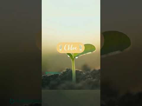 Name video — video thumbnail