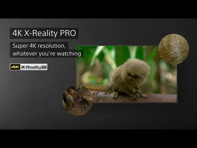 YouTube Video -