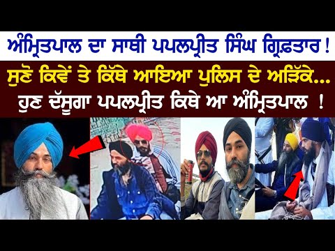 Amritpal Singh's partner Papalpreet Singh arrested! How & where did Cops nabbed him... Today News Live