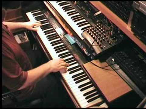 A Walk In The Black Forest