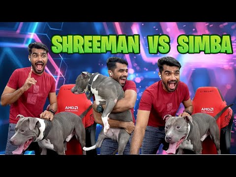 SHREEMAN VS SIMBA 😂🤣😅 // #shreemanlegend #shreeman #bandilki #shreemanlegendlive 