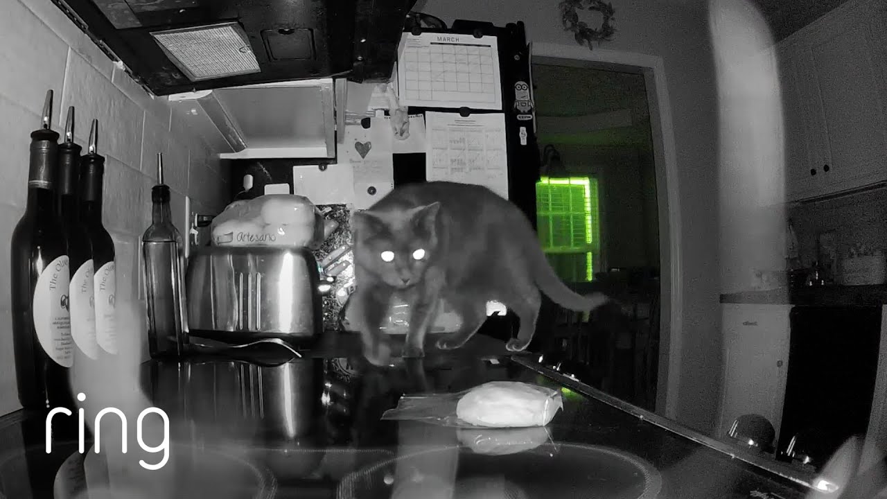 YouTube video preview