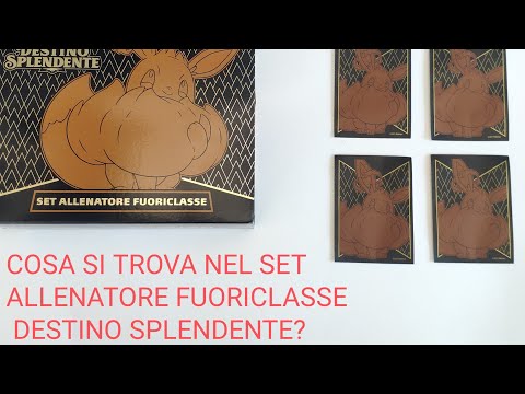 COSA SI TROVA NEL SET ALLENATORE FUORICLASSE DESTINO SPLENDENTE?