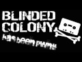The Blinded - Along the Way [HQ] 