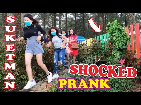 berkamuflase-dihutan-bushman-prank-prank-manusia-pohon