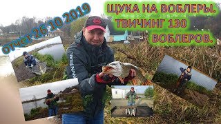 Стрелецкий ручей отчет о рыбалке