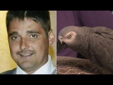 Parrot Was Key 'Witness' in Murder Trial as Woman Is Convicted of Killing Husband