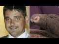 Parrot Was Key 'Witness' in Murder Trial as Woman Is Convicted of Killing Husband