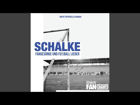 Asoziale Schalker