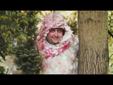 Pečený sněhulák - Dialog zpěvných ptáků