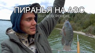 Где клюет рыба в удомле на