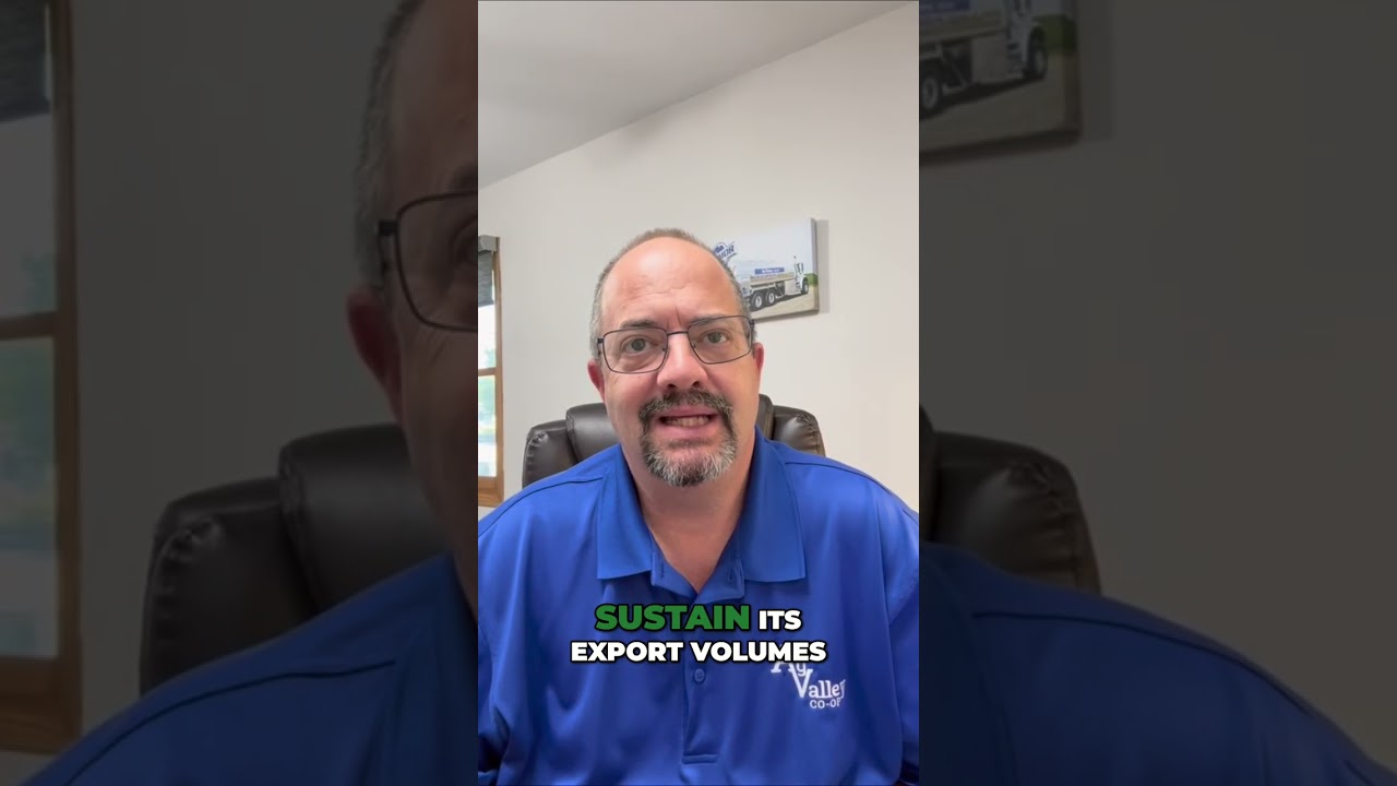 Energy Experience | August 4