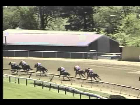 Pimlico 05/04/13 Race 6