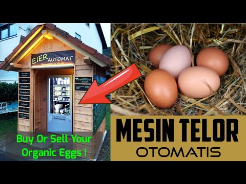 MESIN PENJUAL TELOR OTOMATIS  // Egg Vending Machine In Germany