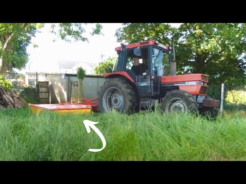 Mowing grass to make hay for the cattle!  #hay #case #hay2022 #farming