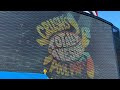Crush S Totally Awesome Pool Party Pixar Day At Sea Disney Cruise Line