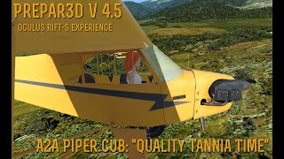 [Prepar3d v4] (Oculus Rift S) A2A Simulations Piper J-3 Cub: "Quality Tannia Time"