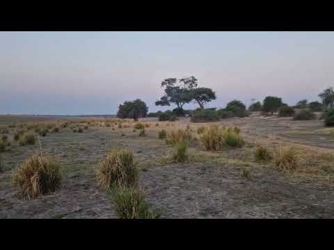 Ihaha Campsite Chobe National Park Botswana
