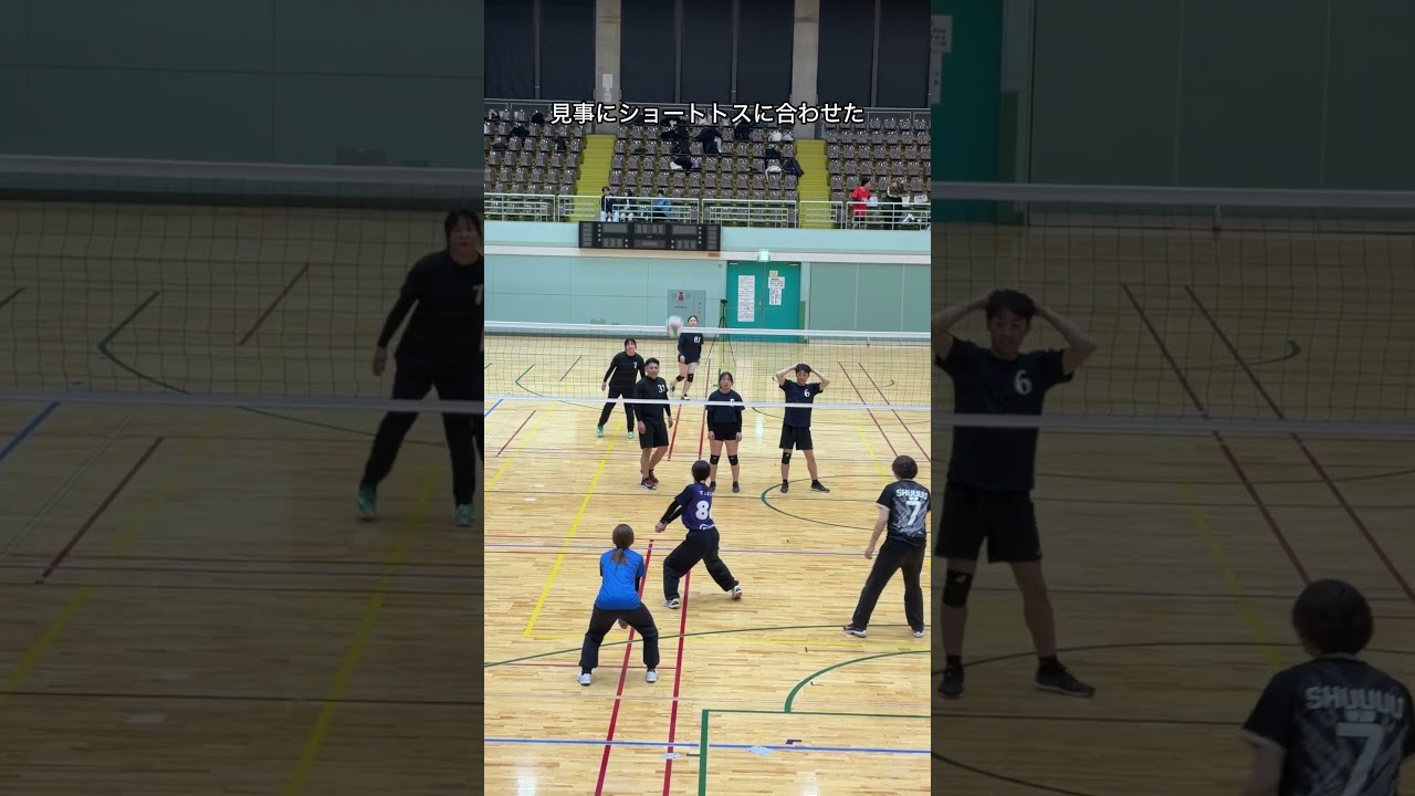 【見事にショートトスに合わせた】男女混合バレーボール大会のプレー【バレーボール大会】【クルーズカップ】#shorts#バレーボール#混合バレーボール