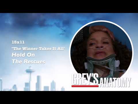 Grey's Anatomy Soundtrack - "Hold On" by The Rescues (15x11)