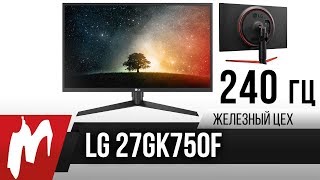 240 Гц от LG — Новый тренд или необходимость? — Железный цех — Игромания