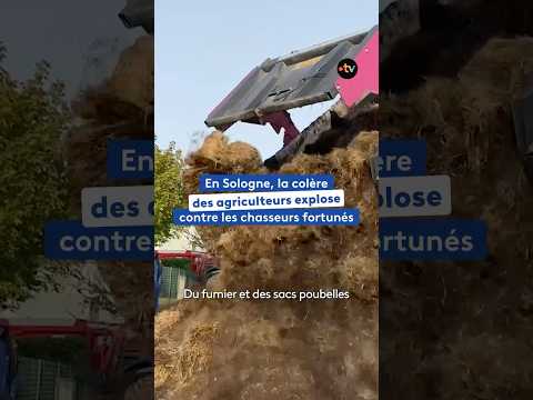 En solgone, la colère des agriculteurs explose contre les chasseurs fortunés