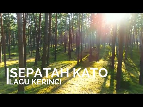 Sepatah Kato (Lagu Kerinci Lamo) - Kincai BlackExpo