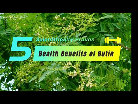 5 Scientifically Proven Health Benefits of Rutin | Rutin benefits