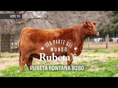 15   RUBETA FONTANA 8280
