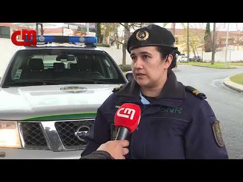 "Jovens" fazem arrastão em centro comercial do Carregado