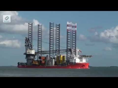 Pacific Orca passeert de rede