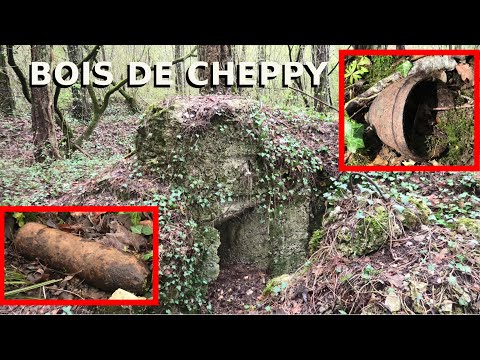 Bois de Cheppy * VERDUN 1916 - Today - heute * Cheppy * Argonne 14-18 WWI * erster Weltkrieg
