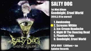 【SALTY DOG】2014.3.19 Release 「Goodnight, Cruel World」 Trailer