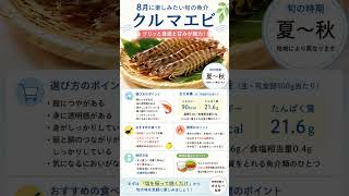 クルマエビの旬と栄養｜忙しい日にうれしい簡単な食べ方