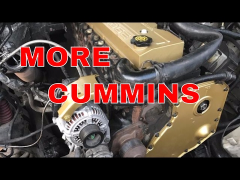 TIMING CASE COVER & OIL COOLER GASKET INSTALL | CUMMINS