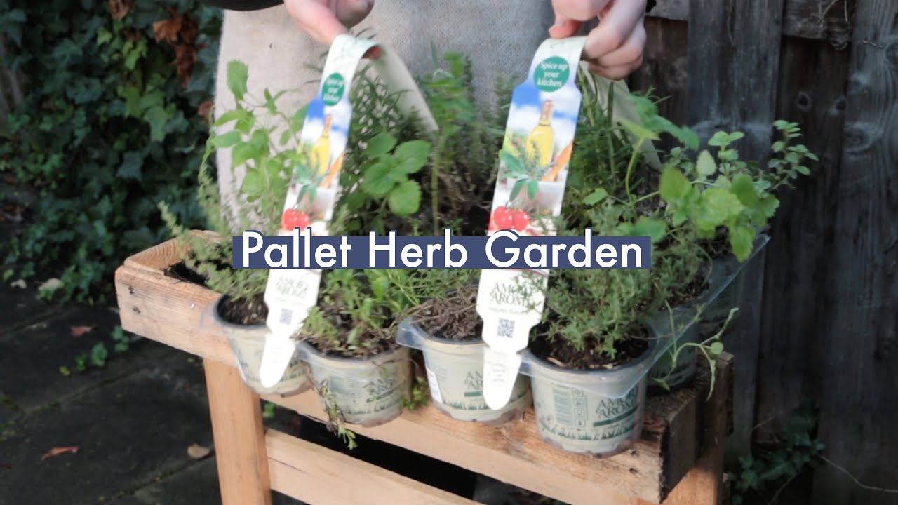 A Herb Garden for Céline