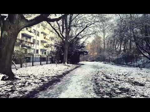 Gimbal Smooth4 von Zhiyun