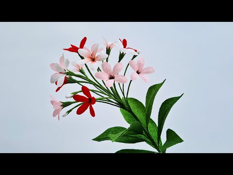 How To Make Combretum Indicum Paper Flower / Paper Flower / Góc nhỏ Handmade