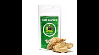 Guaranaplus Maca Tricolor prášek 100 g