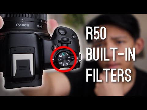 Canon R50 Creative Filters | R50 Beginners Guide