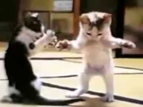 هزي يا وزه هزي هههههههههههههههههبابا قلي هزي