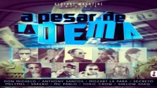 Don Miguelo Ft. Anthony Santos, Vakero, Mozart,Shelow &amp; Toxic Crow (ENTRE OTROS) - Apesar De La Dema