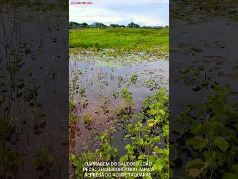 BARRAGEM DO SAUDOSO JOÃO PEDRO,TRANSBORDANDO,PARA A REPRESA DO AÇUDE TAQUARAS,EM CORREDOR-MUCAMBO-CE