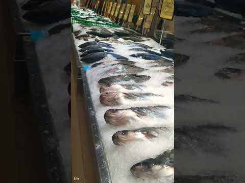 #phonk #music #beats #remix #dnb #viralvideo #travel #duetking #hindisong #shortvideo