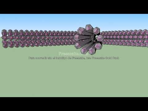 Irina Borgeat- IMD 2019