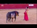Matador killed in Spain bullfight Matador killed in Spain bullfight