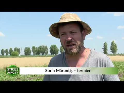 Fructele de pădure aduc profit! 27 06 2022